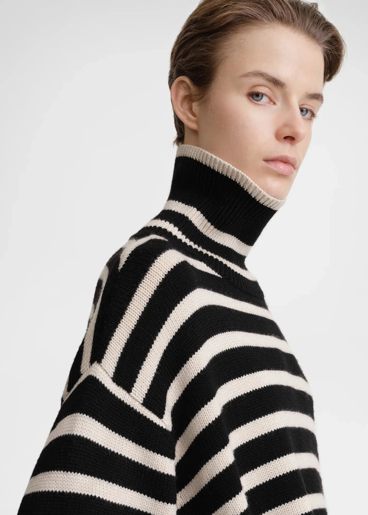 212562758 Signature stripe turtleneck