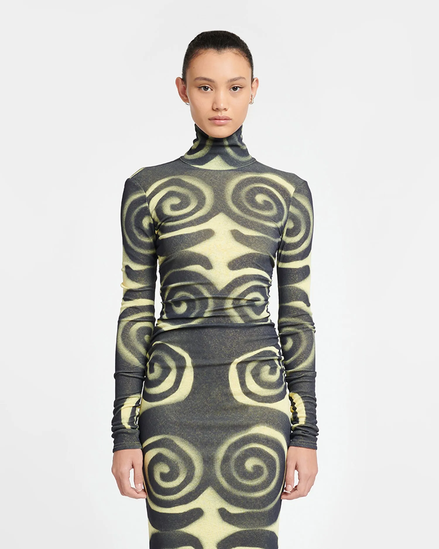 Cardia - Mesh-Jersey Turtleneck Dress - Spiral Spray