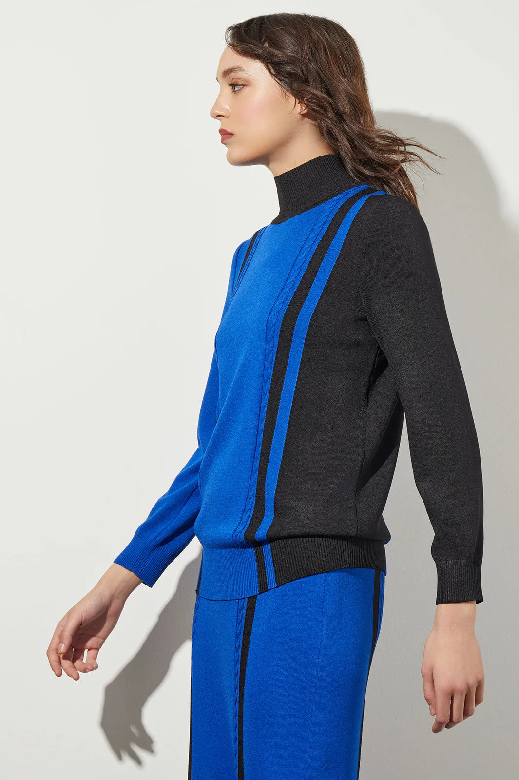 Colorblock Cable Soft Knit Turtleneck Tunic