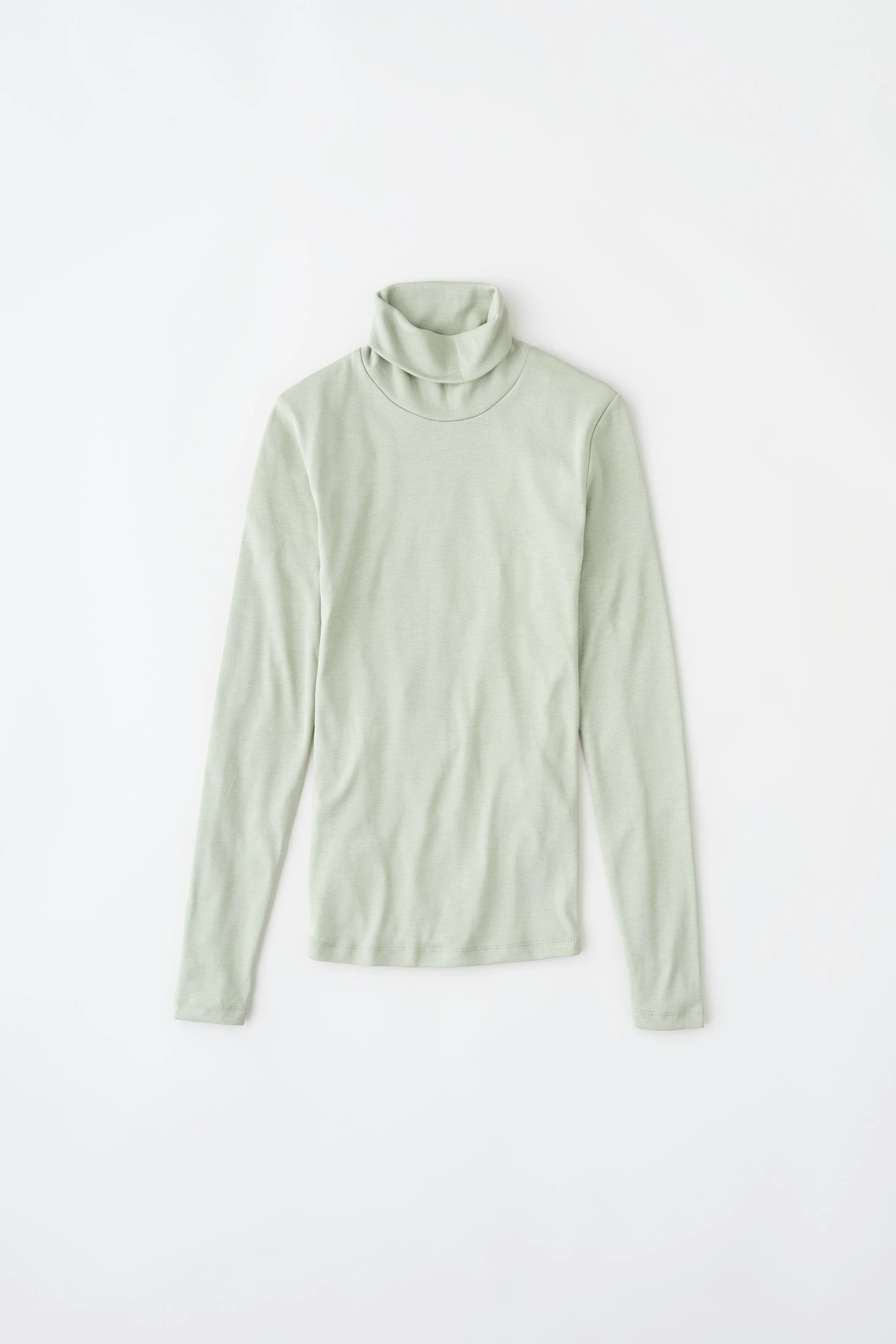 Fitted Turtleneck in Seagrass