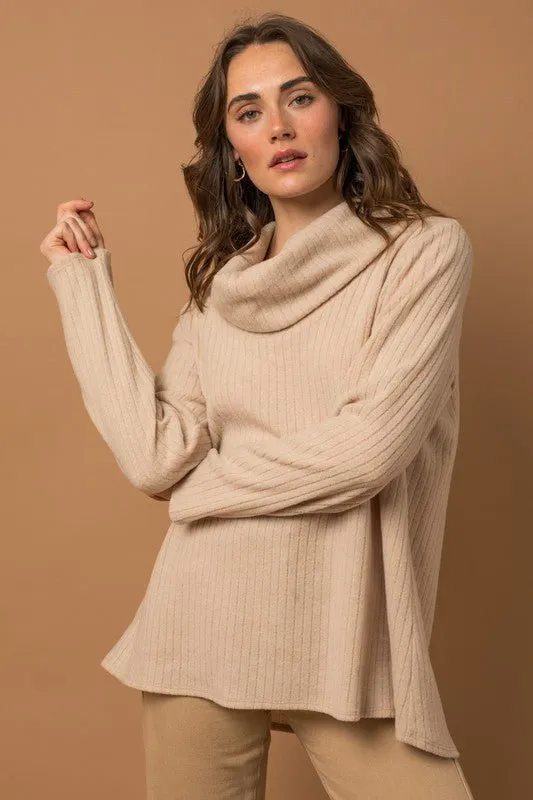 Long Sleeve Turtleneck Top