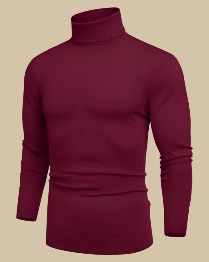 Men Viscose Slim Fit Turtleneck