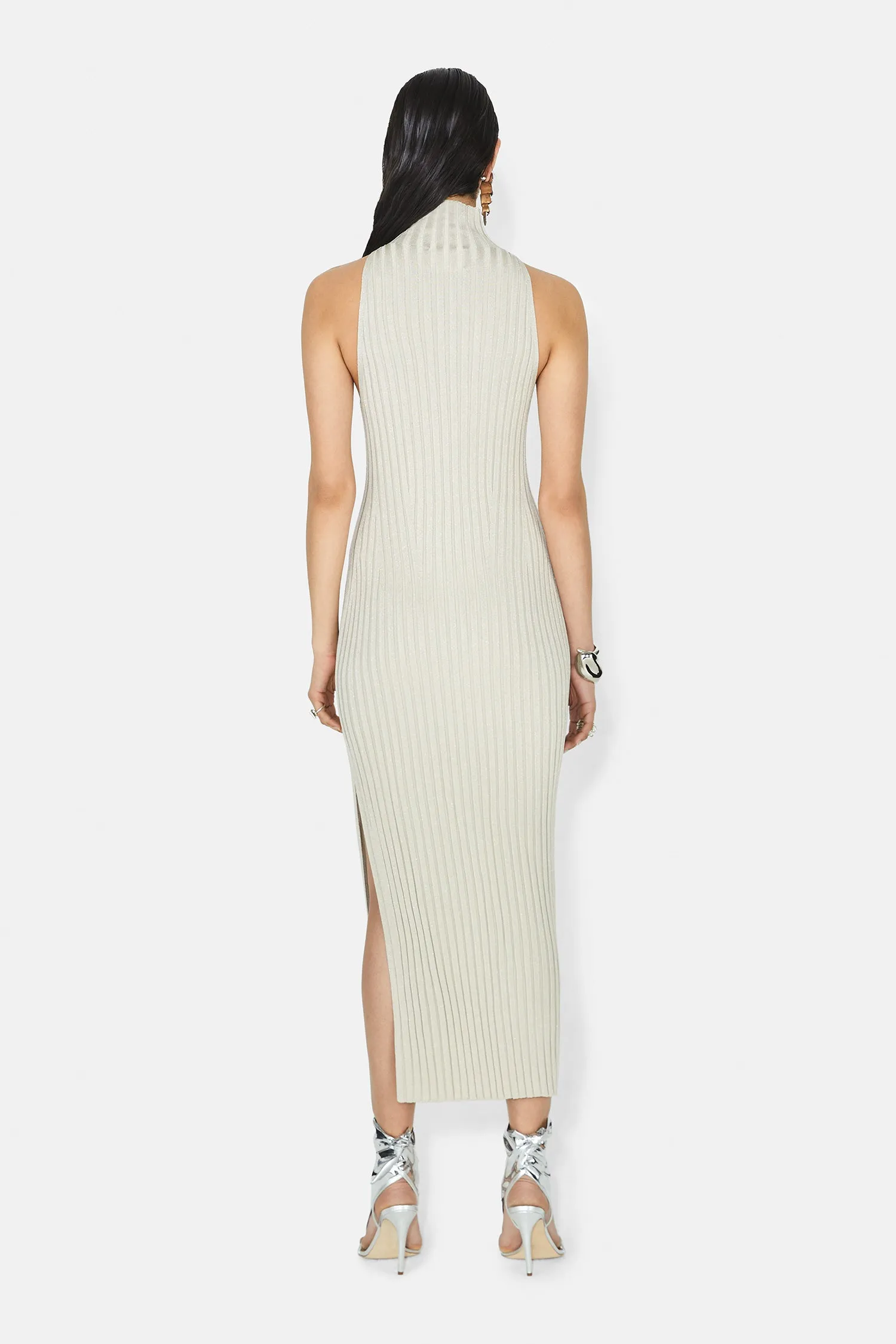 Metallic Rhea Turtleneck Dress - Oyster