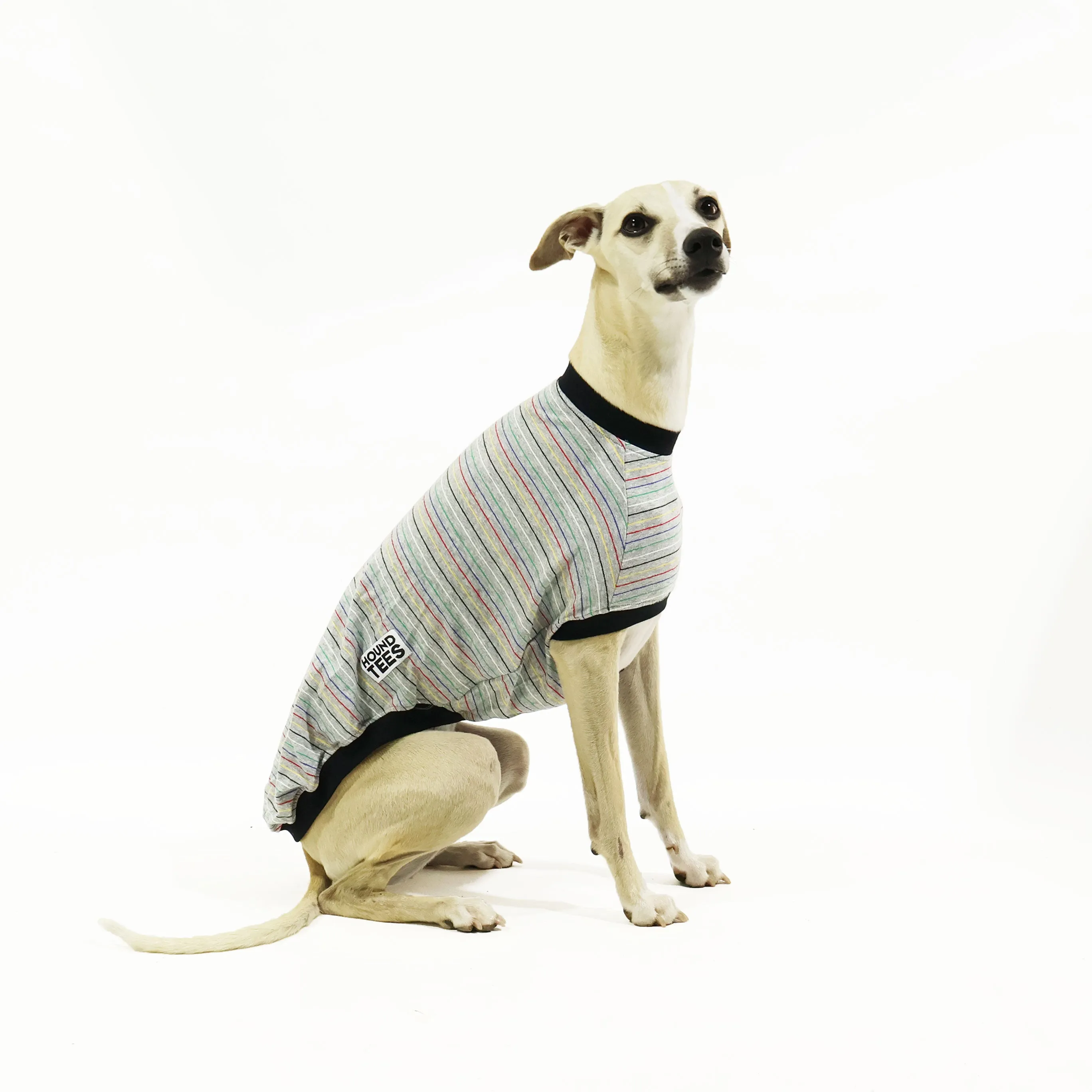 Skipping Stones Whippet Sleeveless Hound-Tee