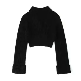 Solid Minimalist Casual Sweater For Women Turtleneck Long Sleeve Knitting Pullover Sweaters Female Fashion Clothing Style