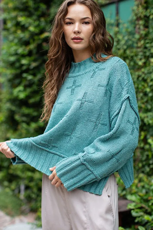 Turtle Neck Long-Sleeved Knit Top