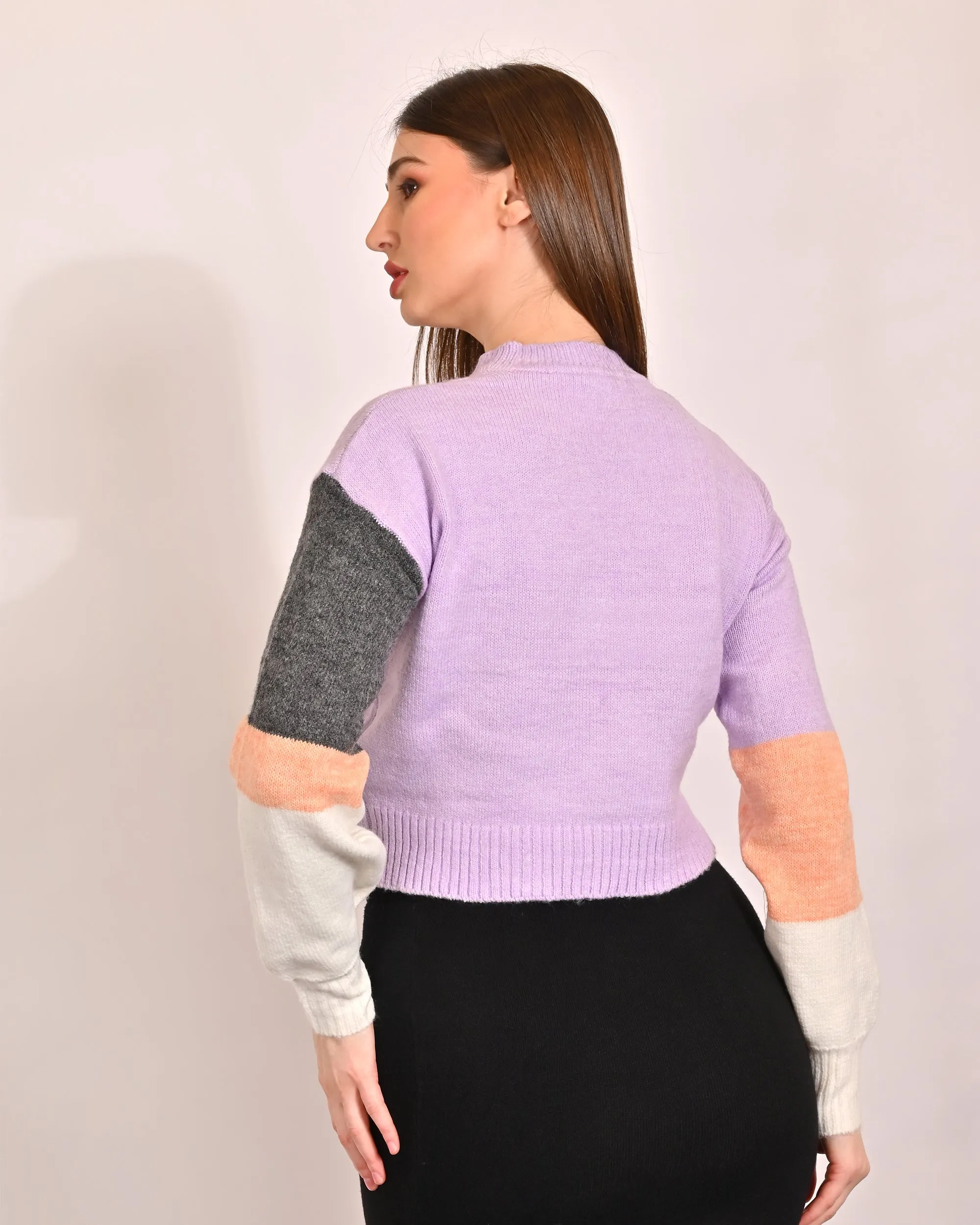 Women Colourblock Crew Neck Sweater